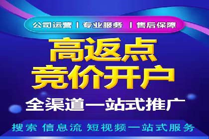 SEM推广实战：成功案例剖析