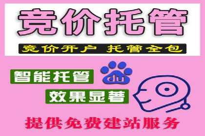 案例分析：竞价推广助力企业快速增长